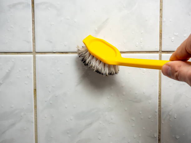Best Black Mold Removal  in Hampton, MD