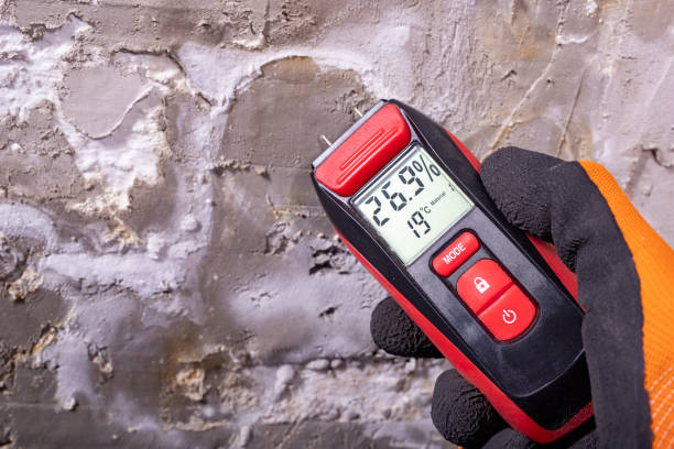 Best Mold Testing  in Hampton, MD