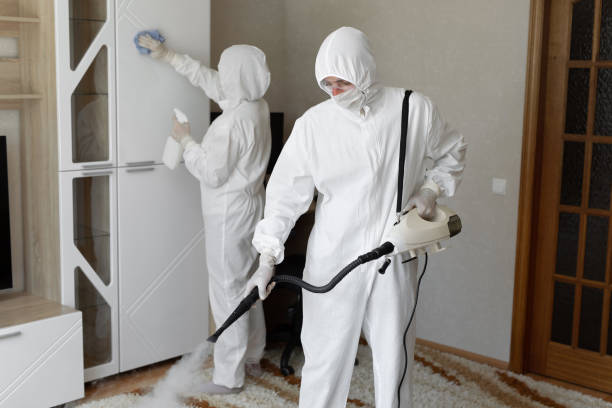 Trusted Hampton, MD Mold Removal Experts